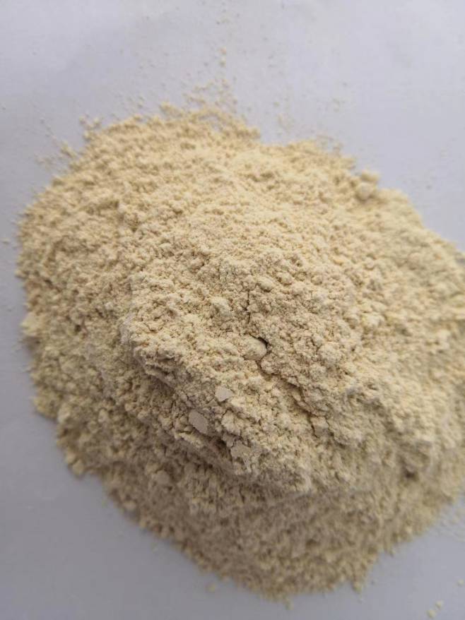 釀酒酵母